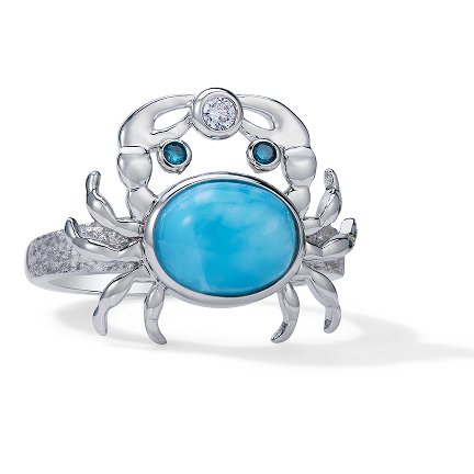 Sealife Collection gallery image 6